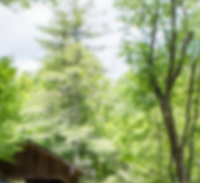 Western North Carolina Stone Driveways