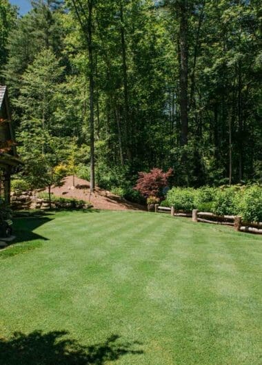 Western North Carolina Landscape Maintenance