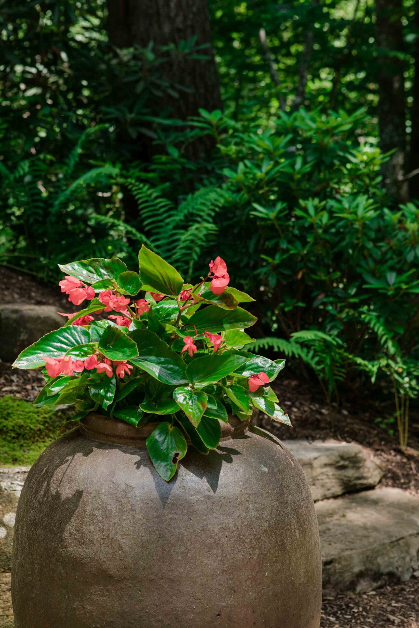 Glenville, NC Landscaping Services