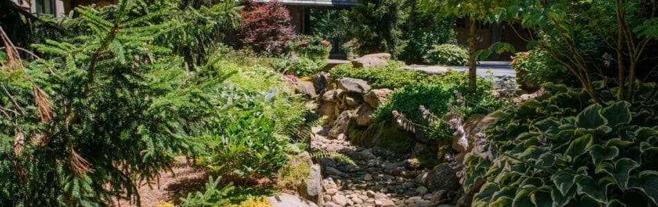 MathisLandscape_BrenPhotography