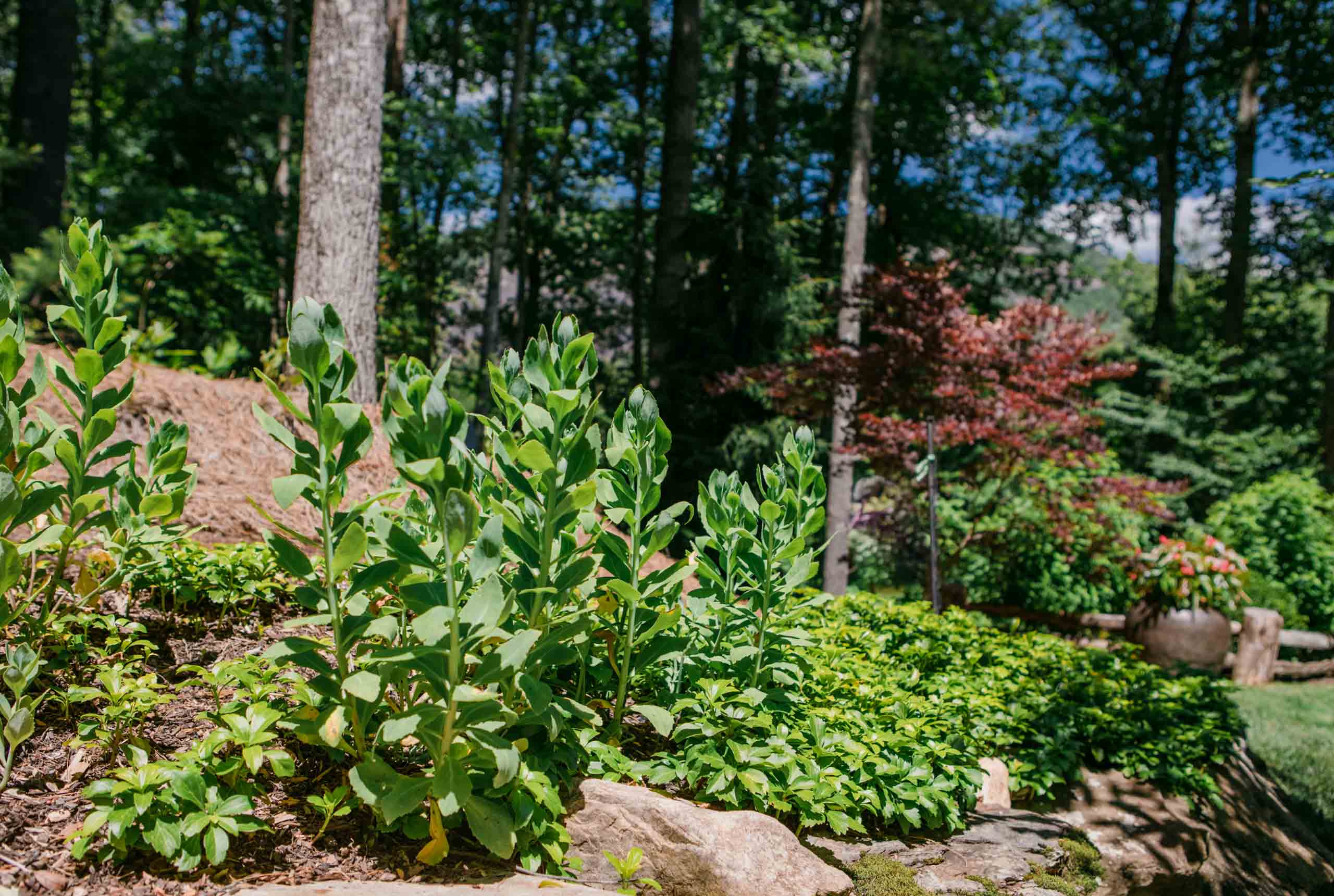 MathisLandscape_BrenPhotography