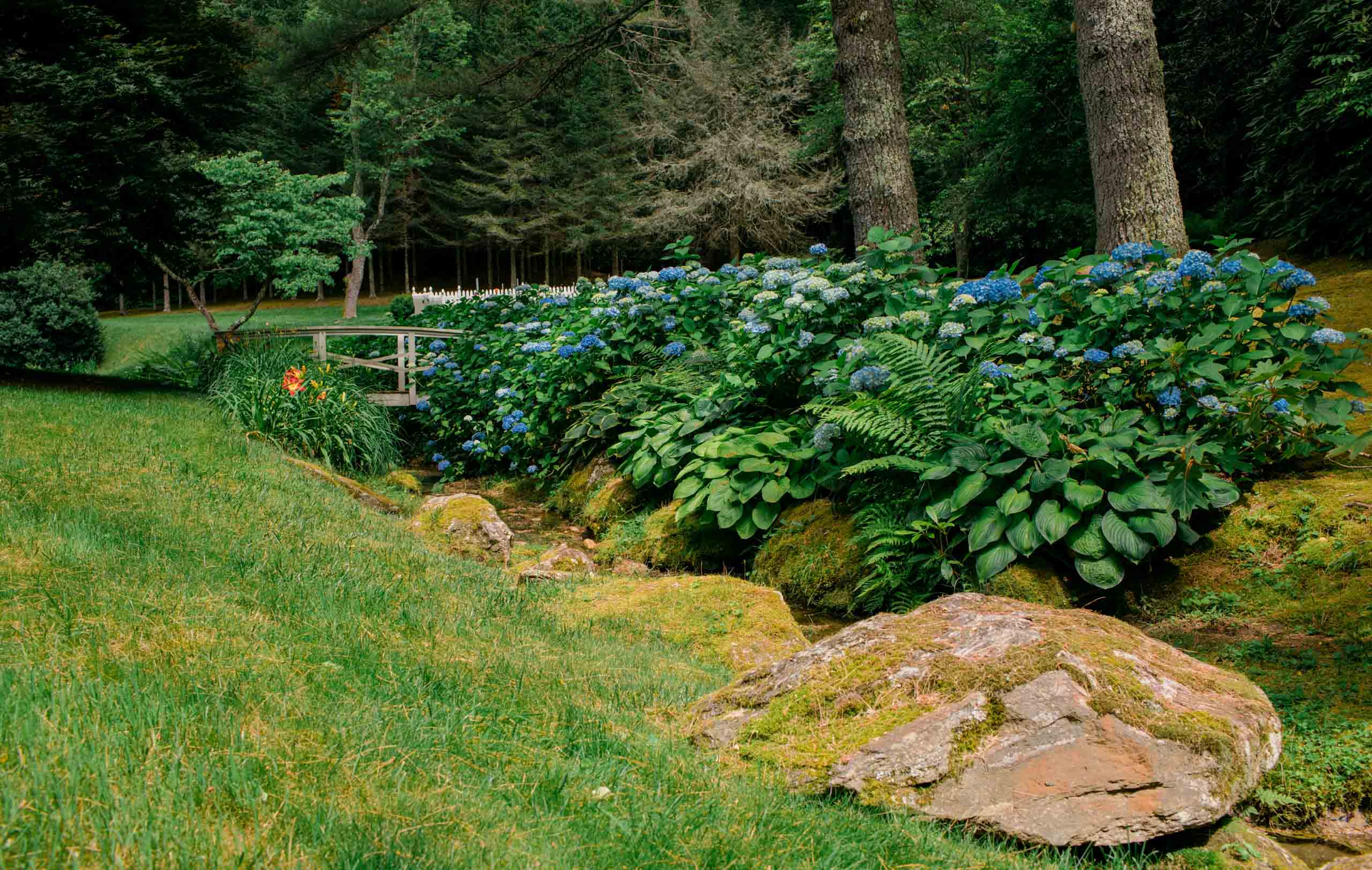 MathisLandscape_BrenPhotography