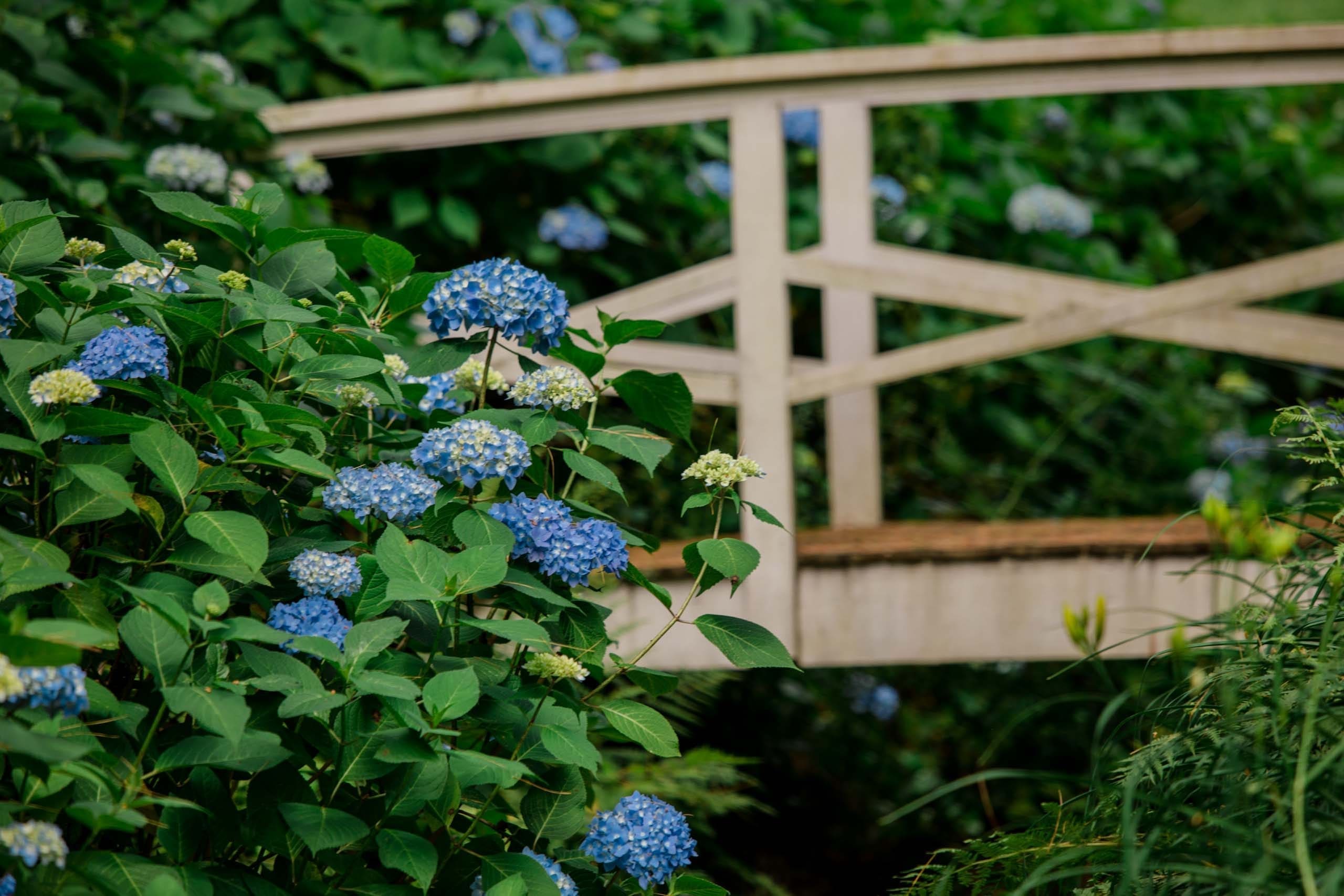 MathisLandscape_BrenPhotography_322-flip