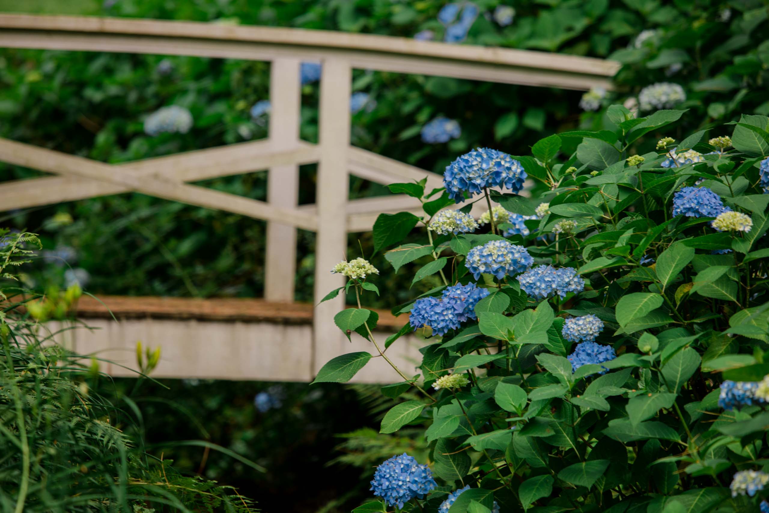 Western North Carolina Landscape Maintenance