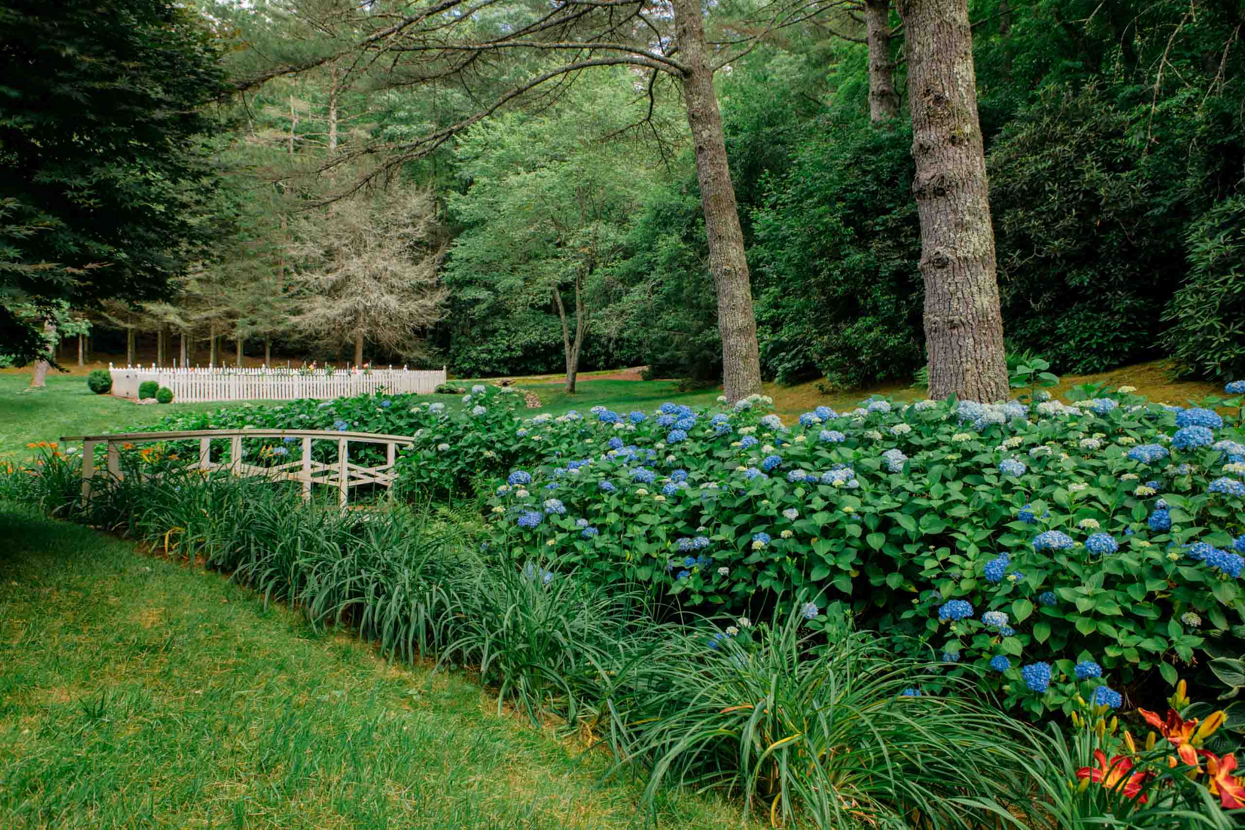 MathisLandscape_BrenPhotography