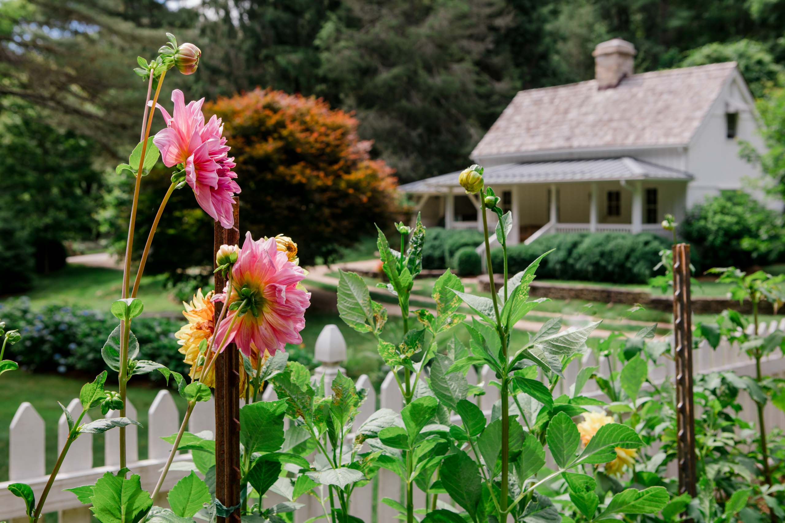 MathisLandscape_BrenPhotography