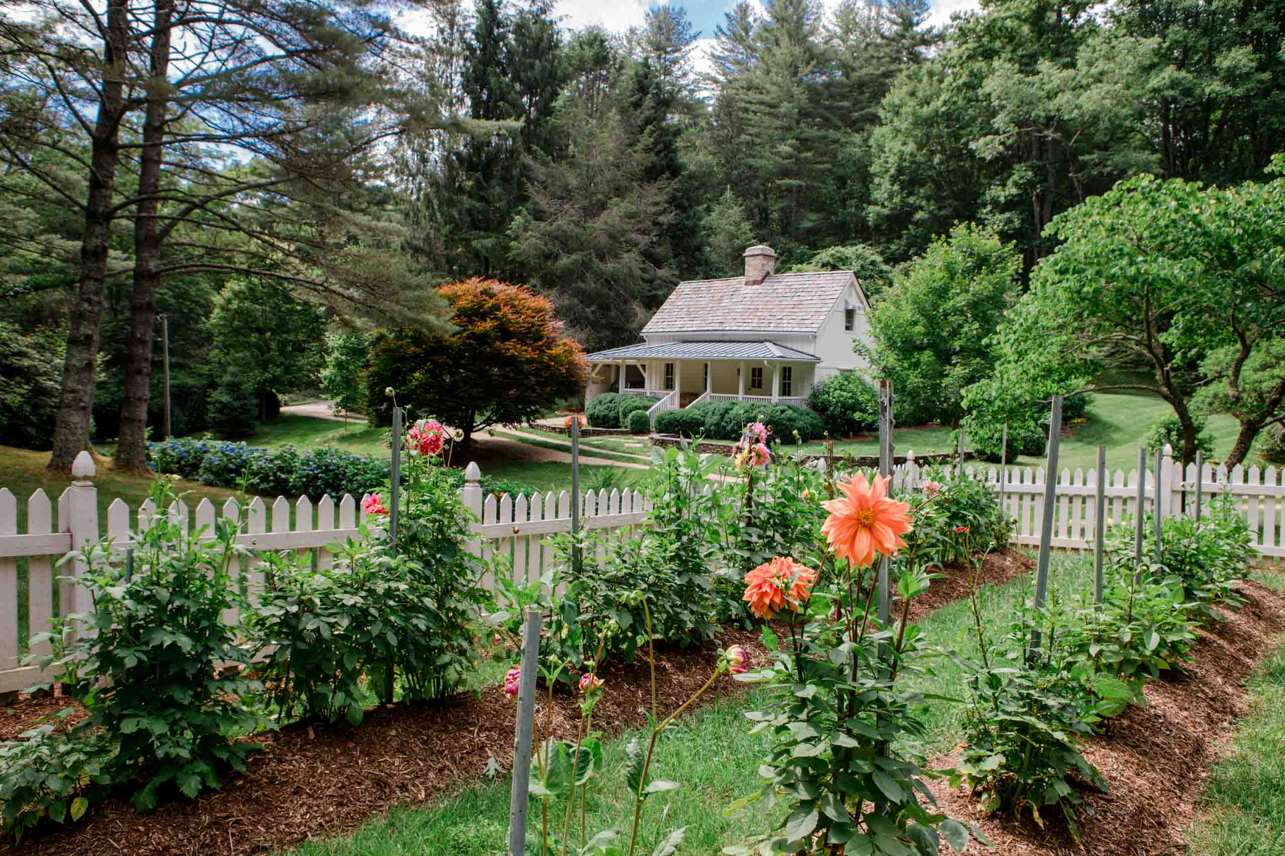 Western North Carolina Landscape Installation