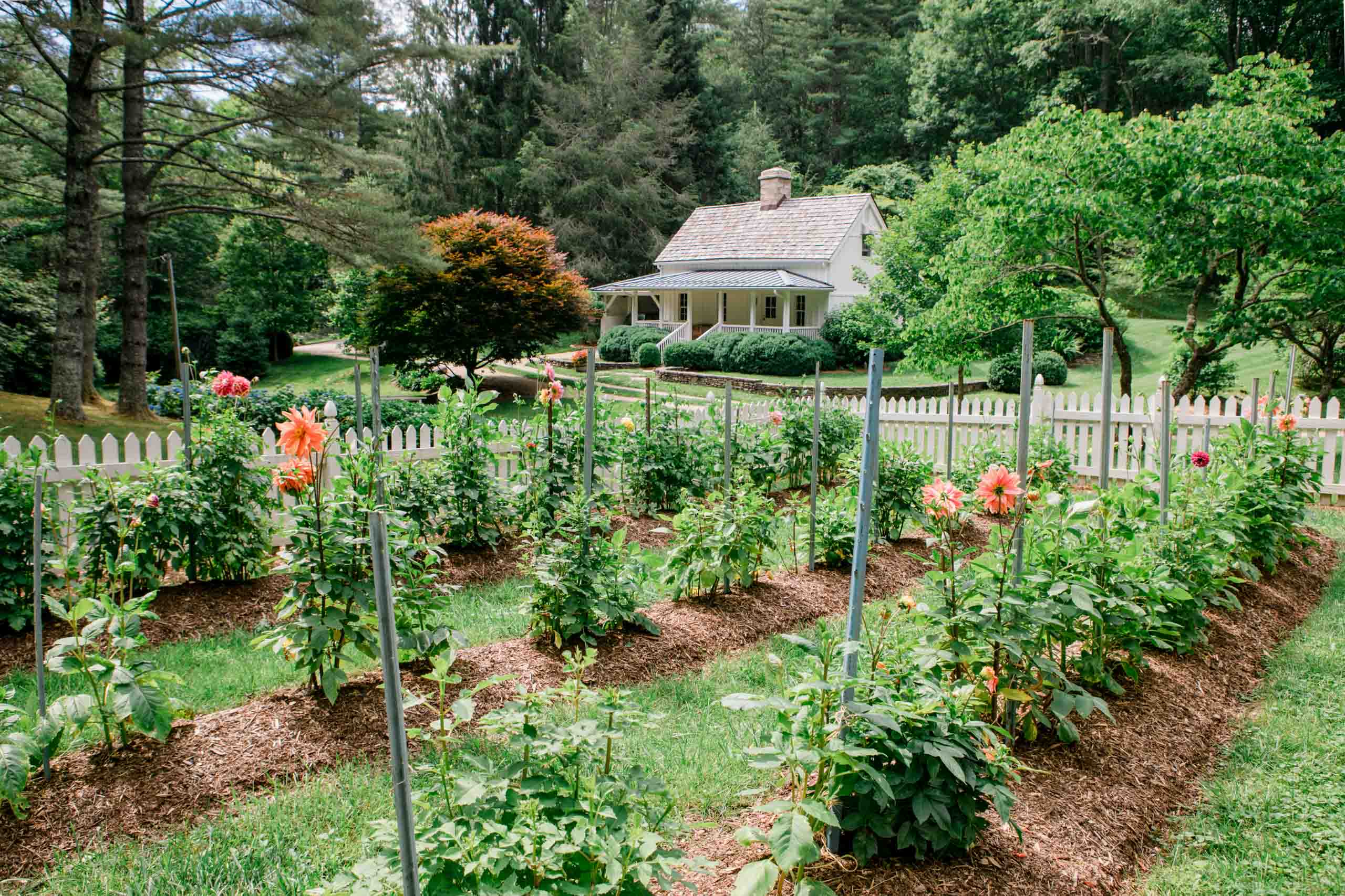 Western North Carolina Landscape Installation