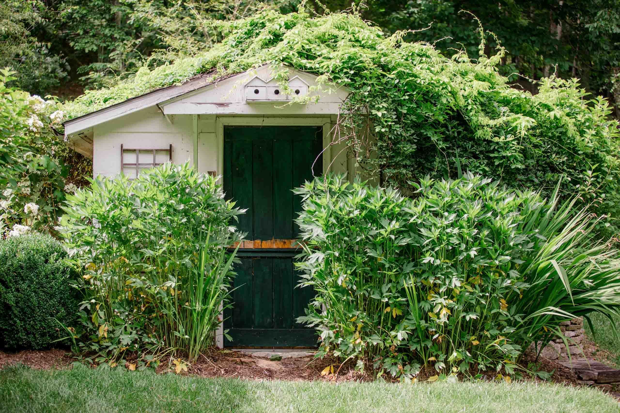 MathisLandscape_BrenPhotography