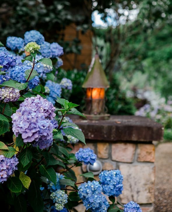 Landscaping Services Cashiers, NC