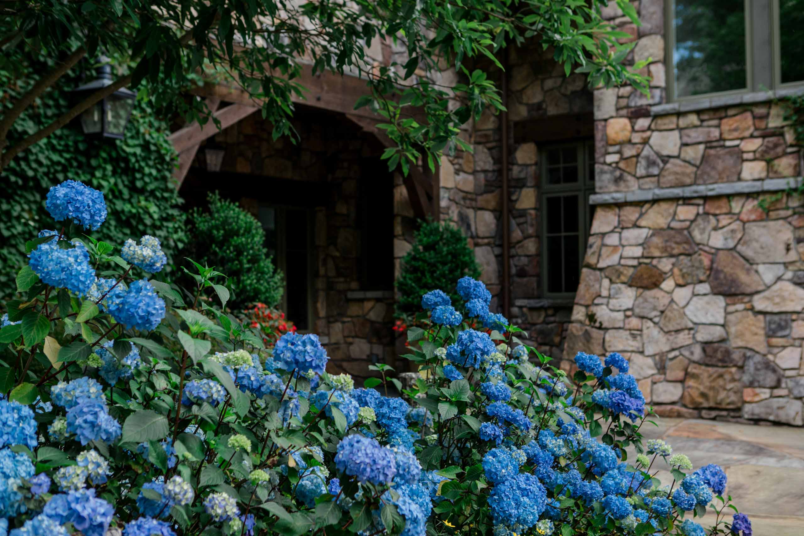 Western North Carolina Landscape Installation