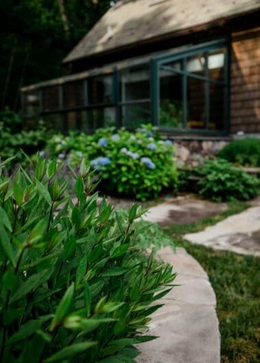 MathisLandscape_BrenPhotography_391