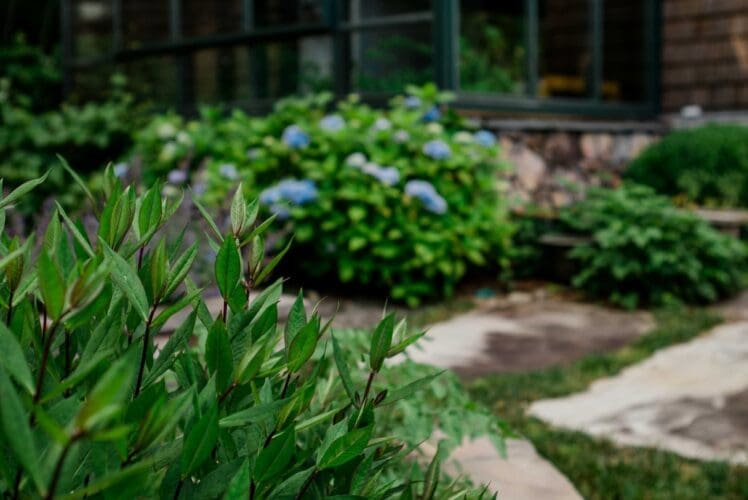 MathisLandscape_BrenPhotography_391