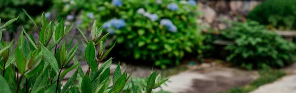 MathisLandscape_BrenPhotography_391