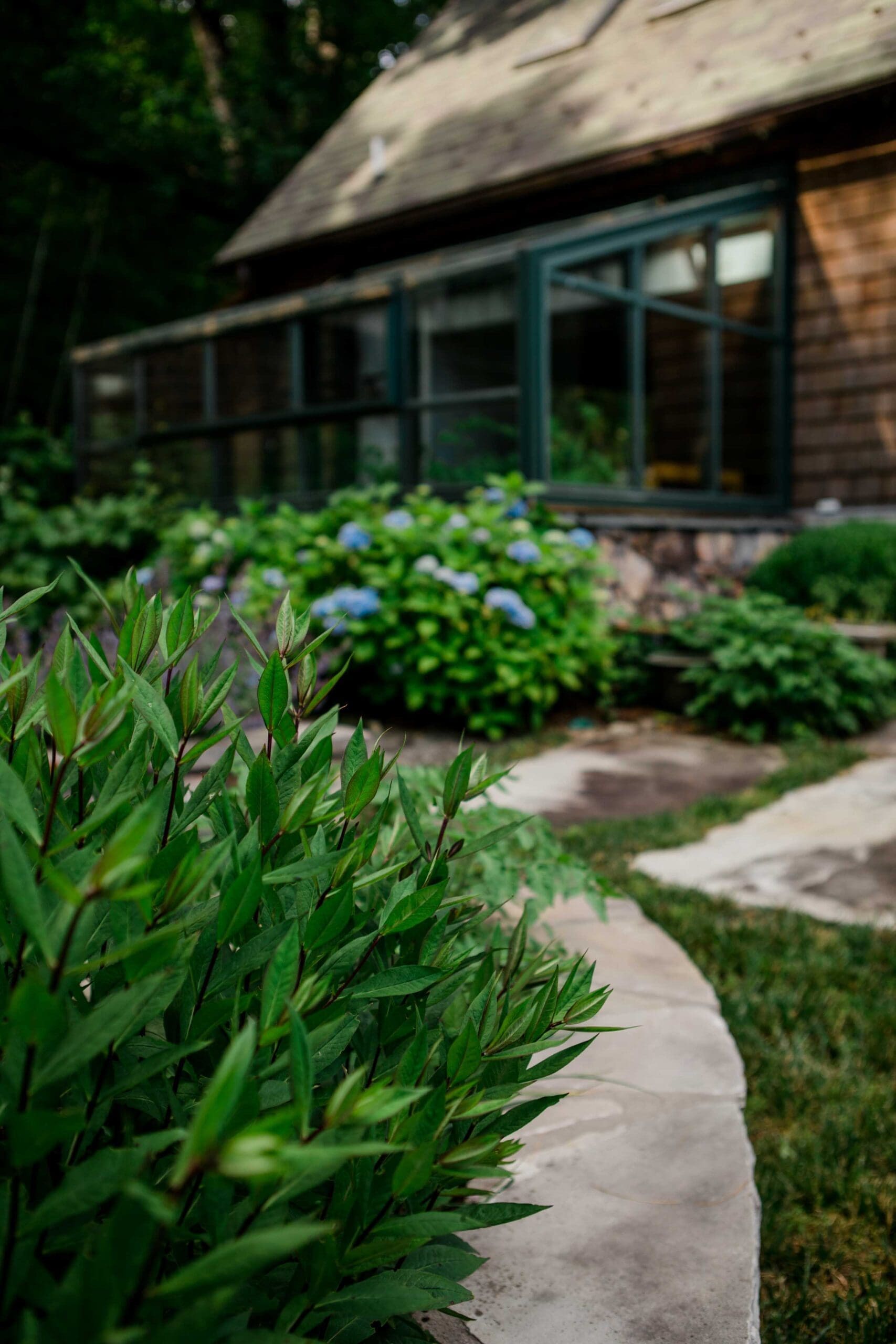 MathisLandscape_BrenPhotography_391