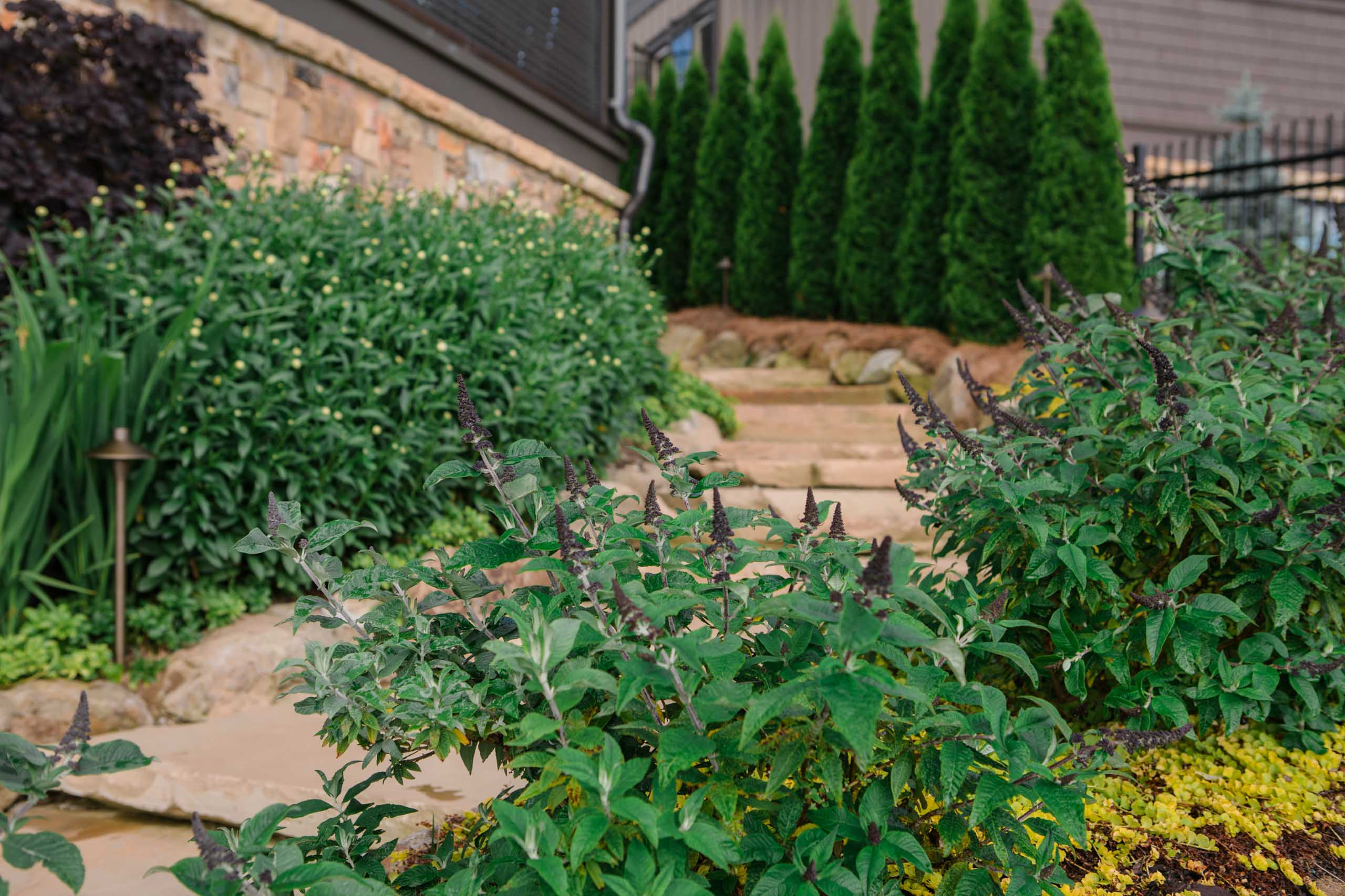 MathisLandscape_BrenPhotography