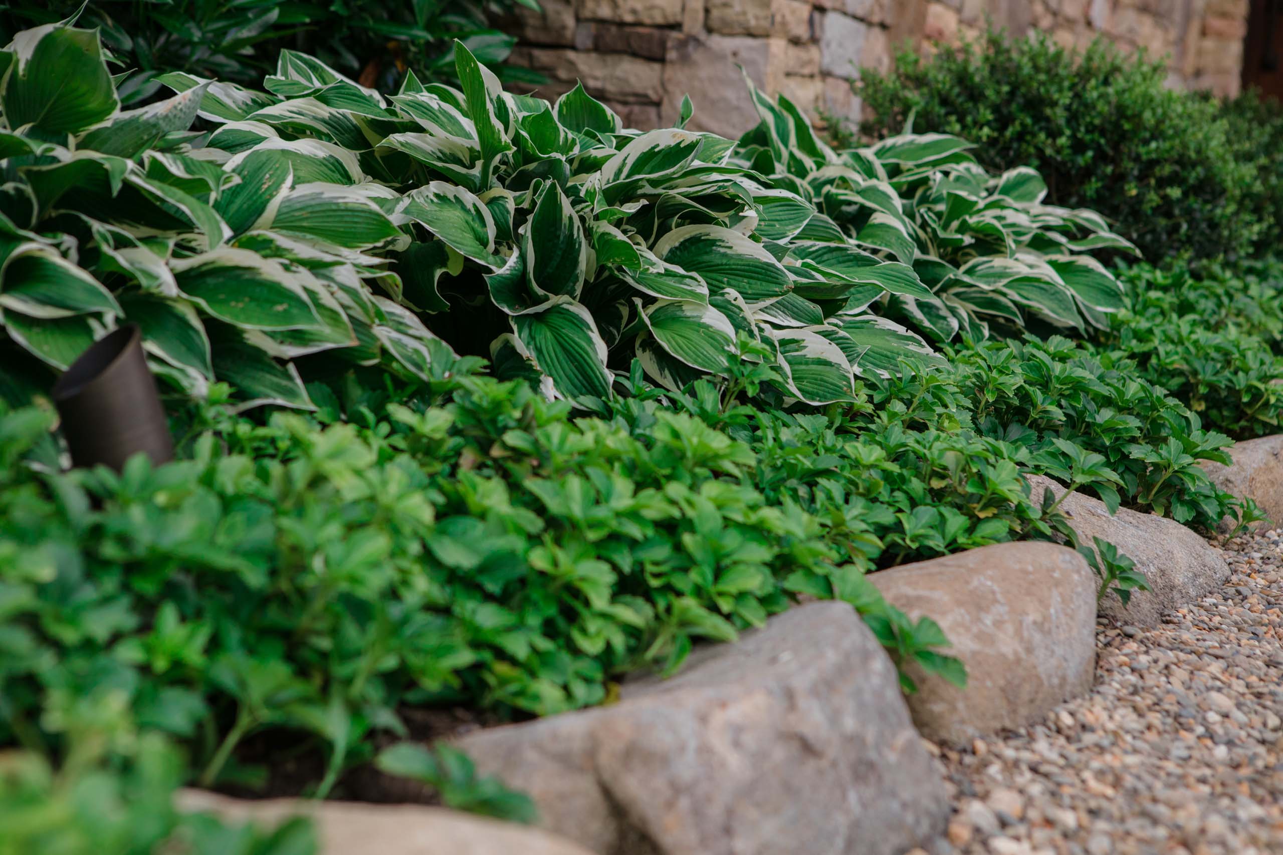 MathisLandscape_BrenPhotography