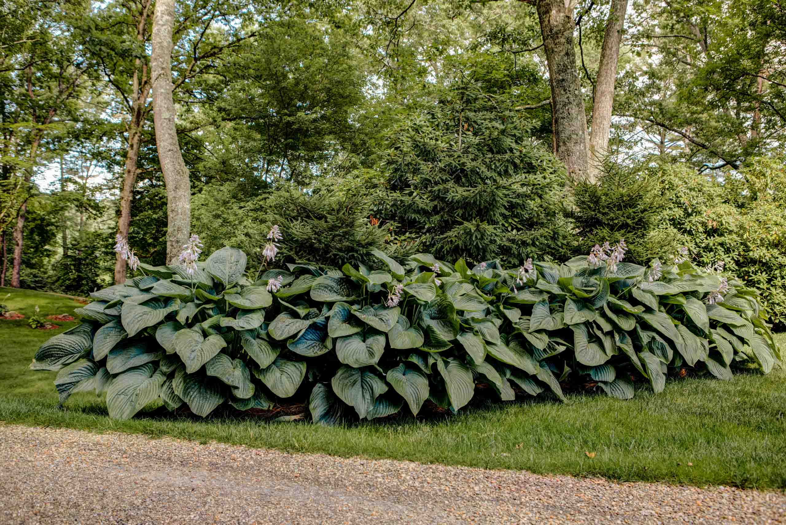 MathisLandscape_BrenPhotography