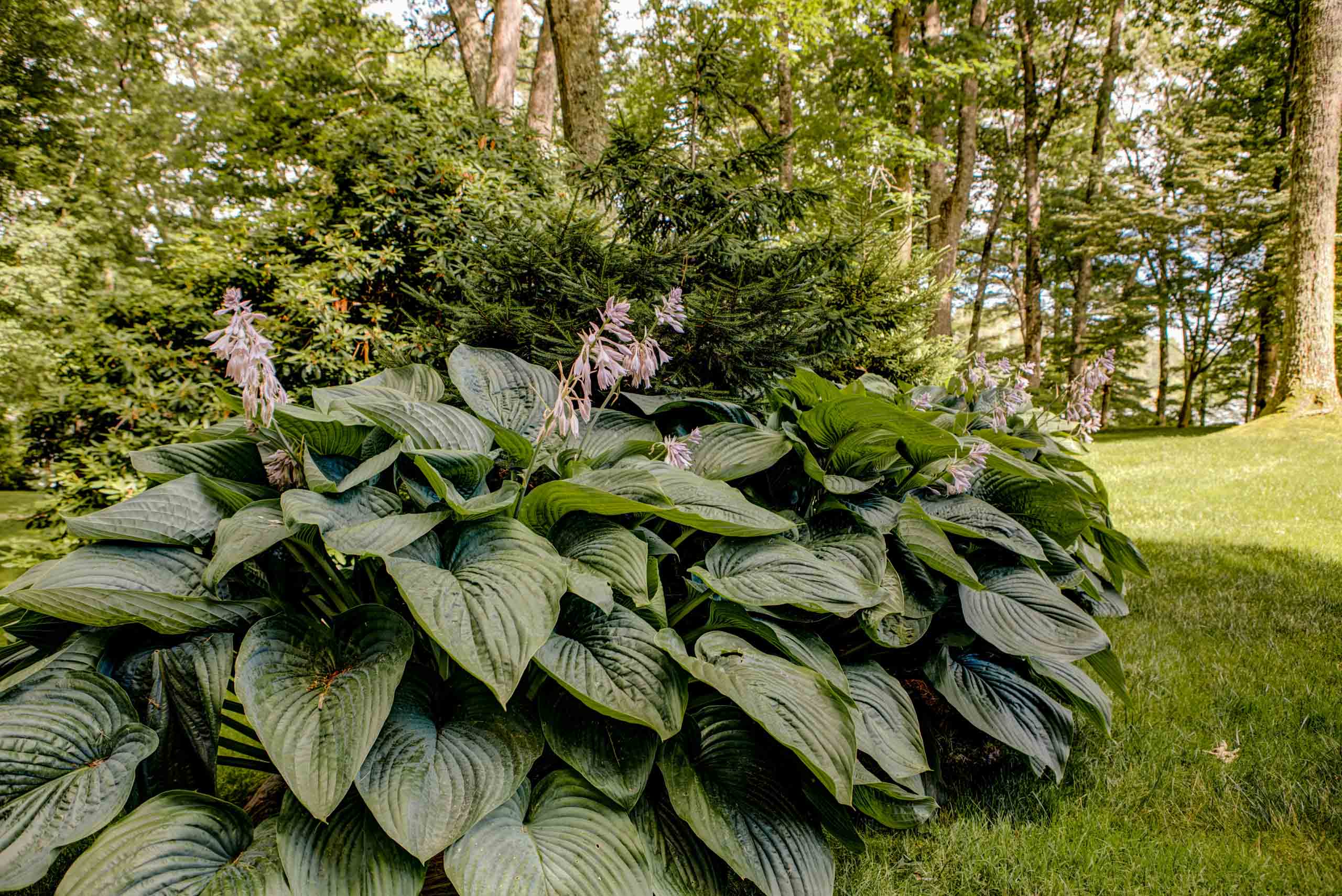 MathisLandscape_BrenPhotography