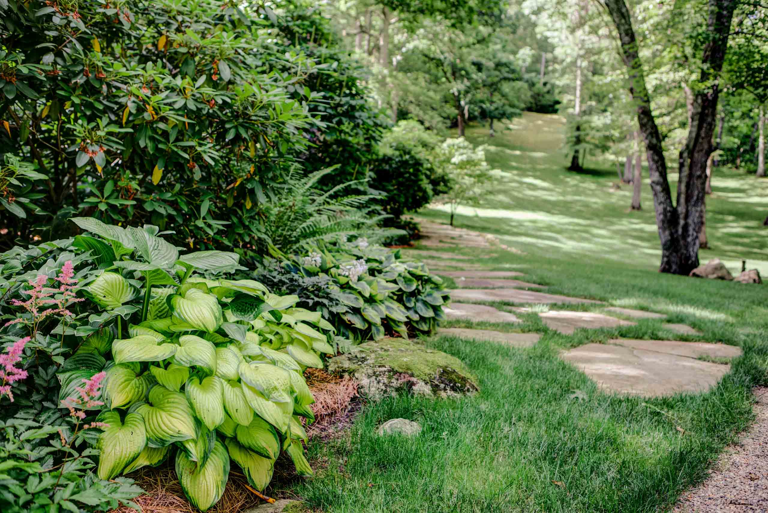 MathisLandscape_BrenPhotography