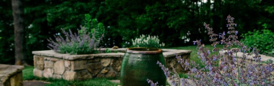 MathisLandscape_BrenPhotography_379