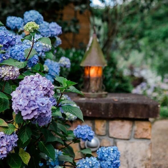 Cashiers, NC Landscape Lighting