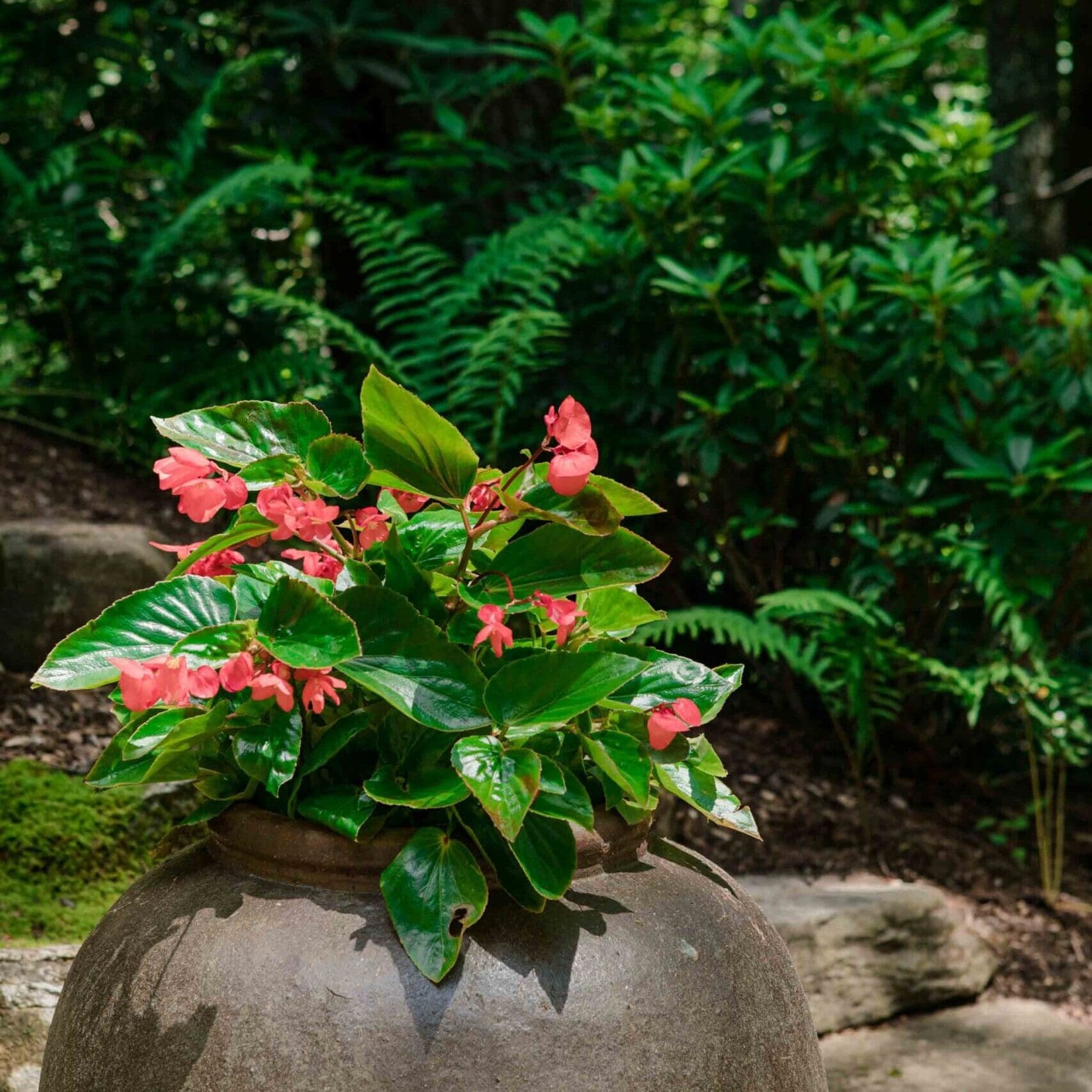 Glenville, NC Landscaping Services