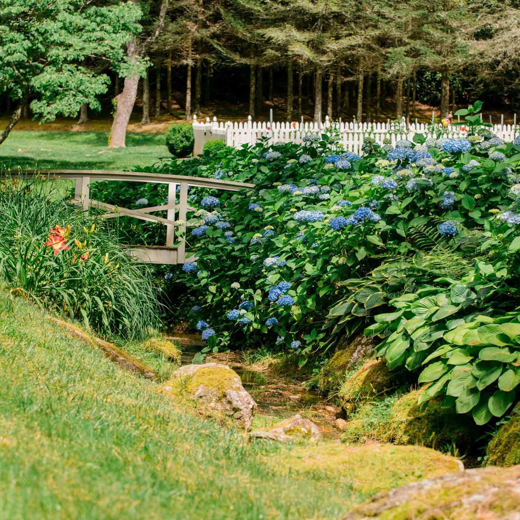 MathisLandscape_BrenPhotography_319