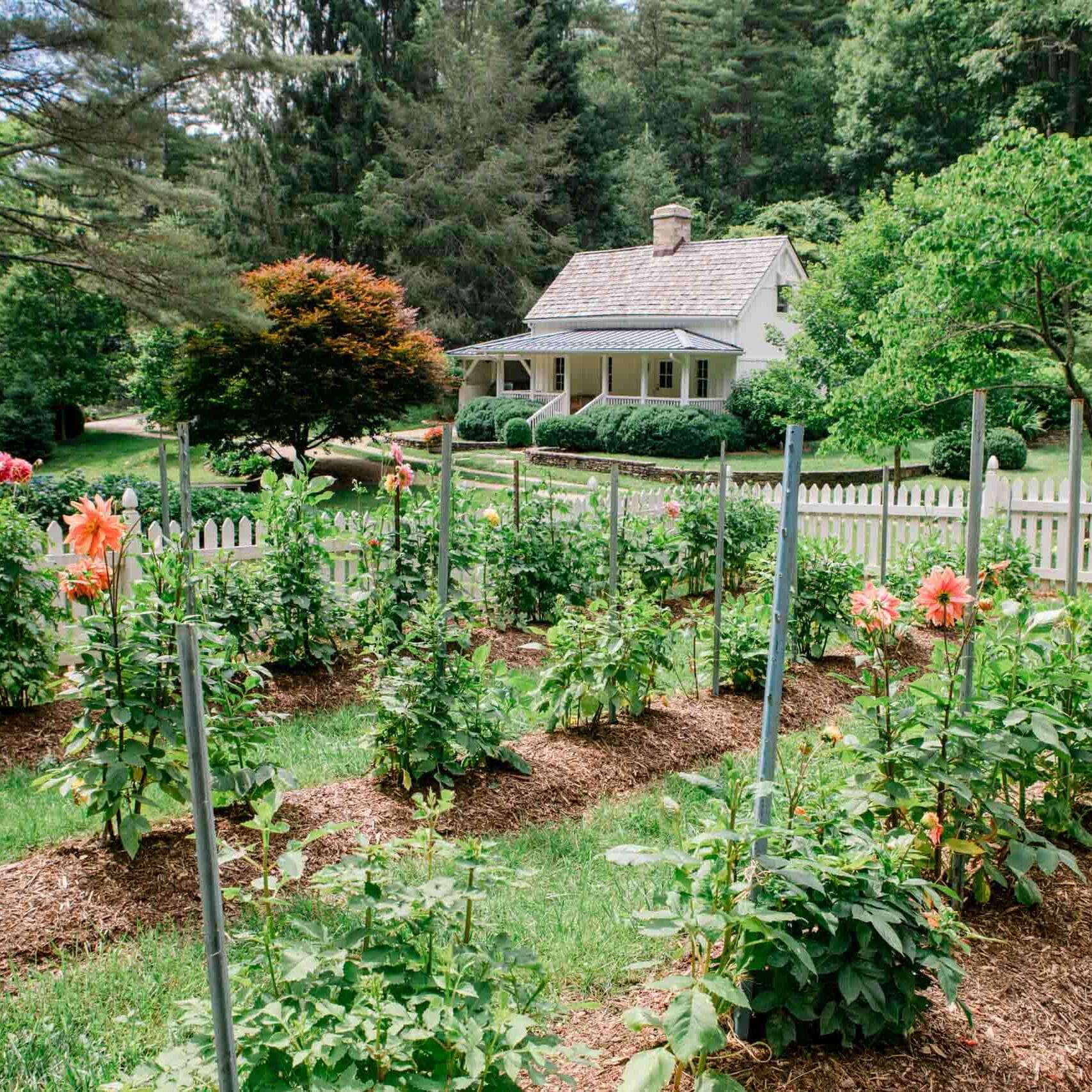 Western North Carolina Landscape Installation