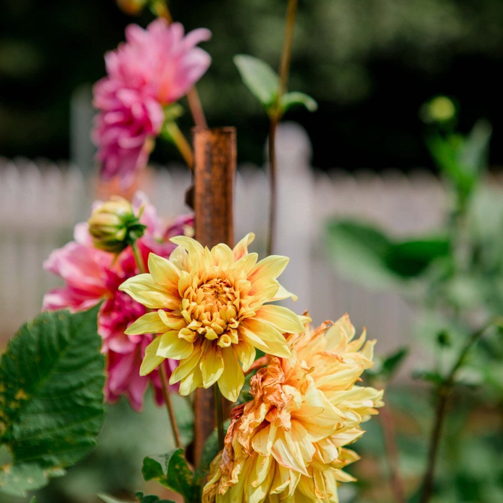 MathisLandscape_BrenPhotography_339