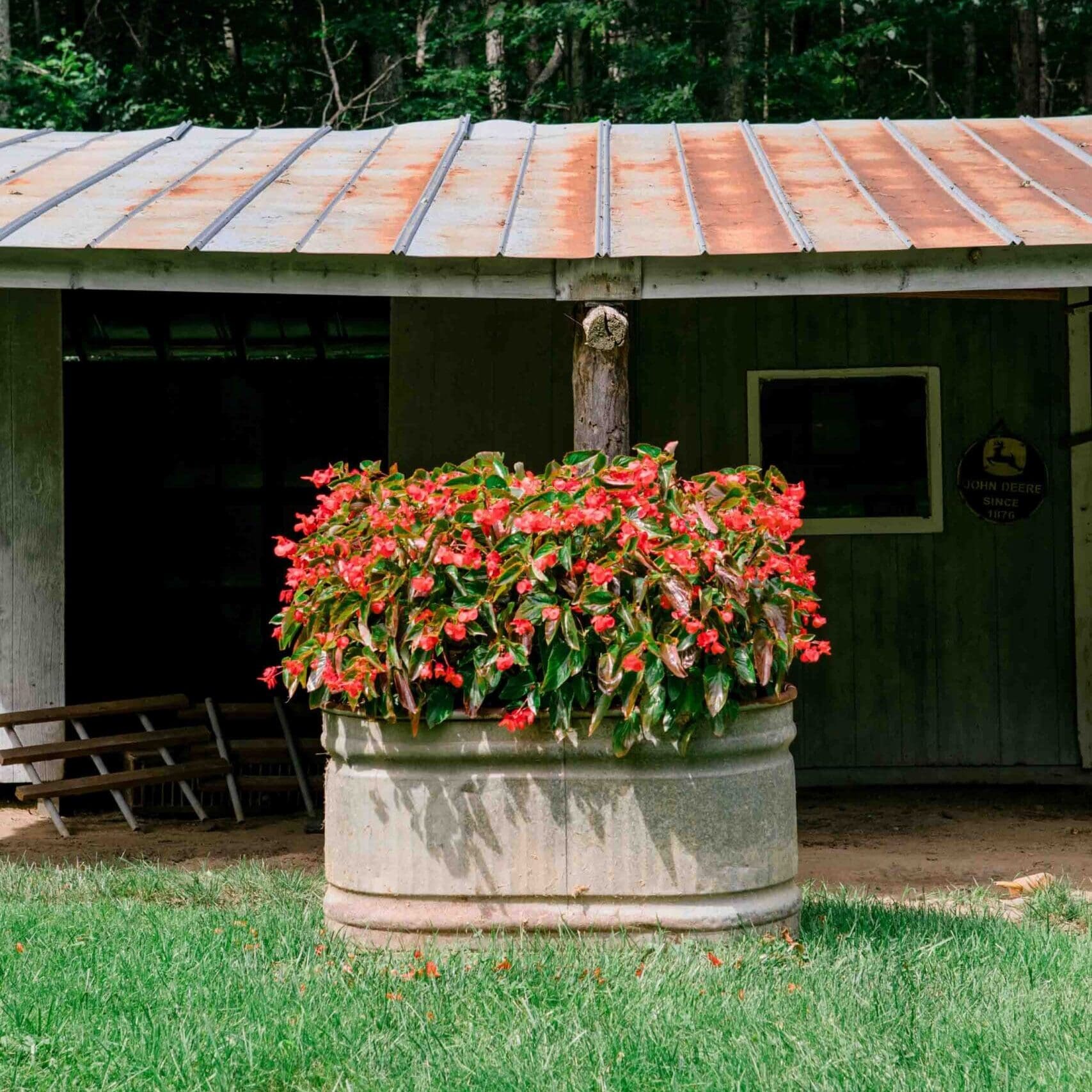 Western North Carolina Landscape Installation