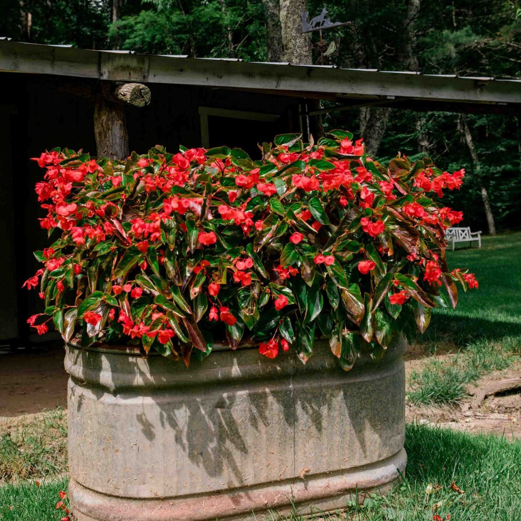 MathisLandscape_BrenPhotography_351