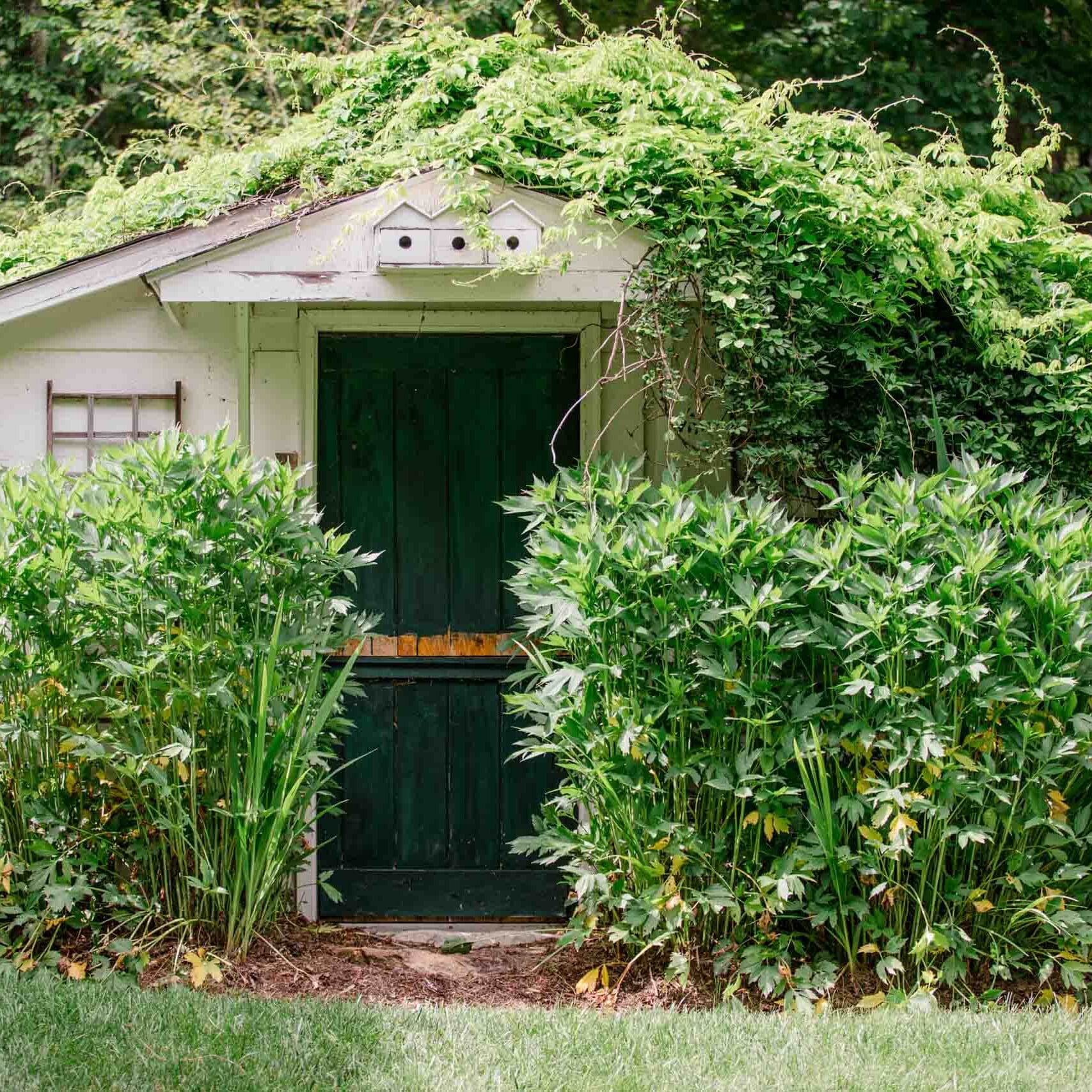 MathisLandscape_BrenPhotography