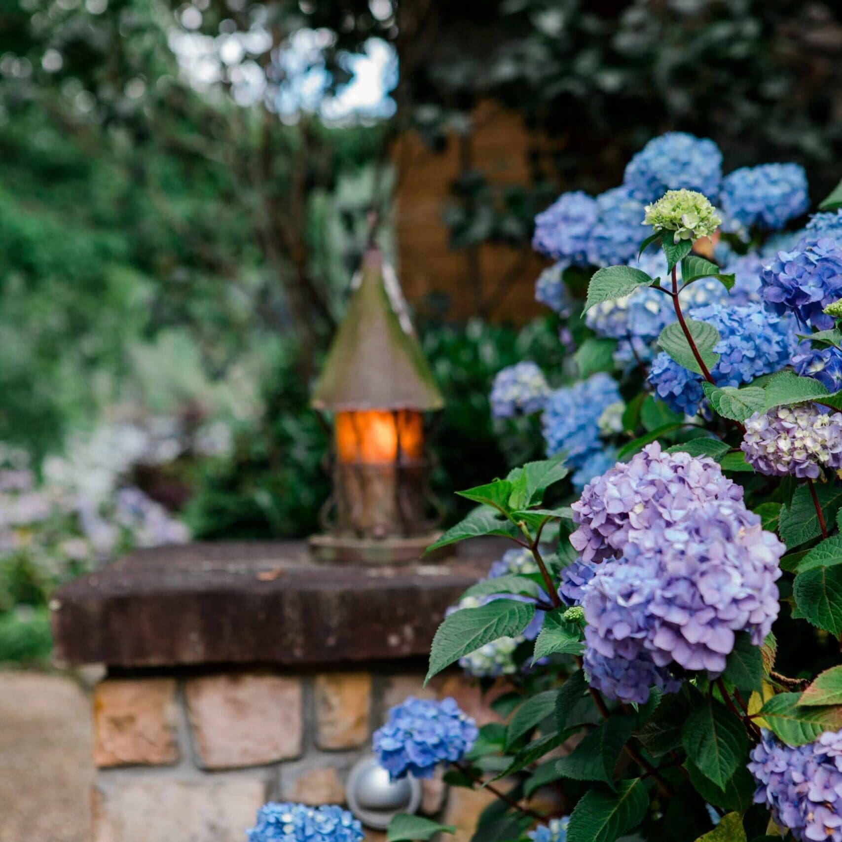 MathisLandscape_BrenPhotography