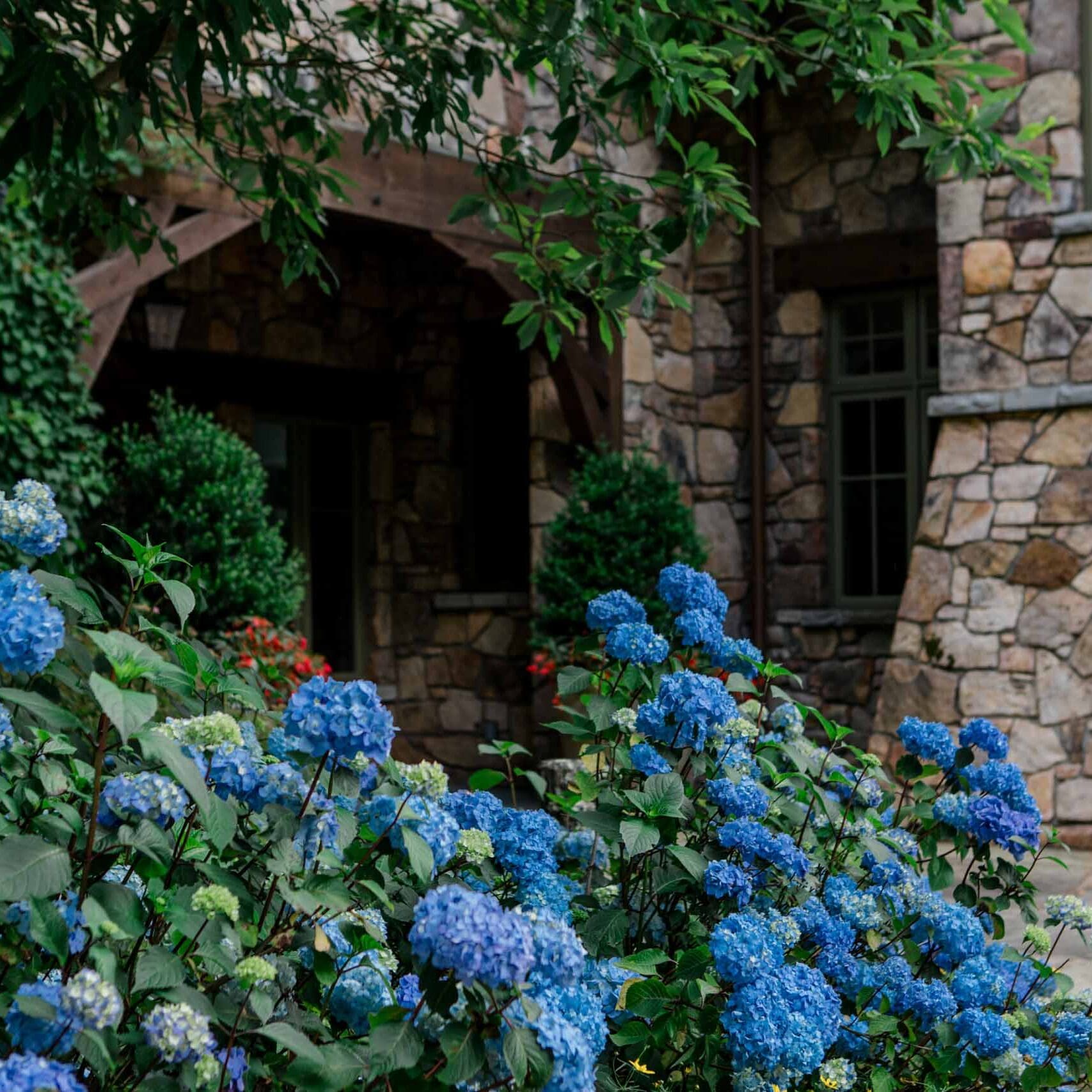Western North Carolina Landscape Installation